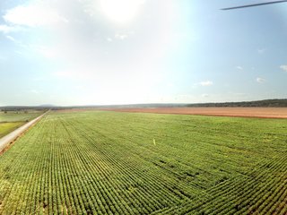 Property photo 24 - REAL ESTATE AUCTION - 1,000+/- ACRES OFFERED IN 10 TRACTS IN PITTSBURG CO., OKLAHOMA